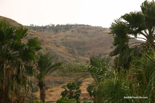 Rocky Hillside