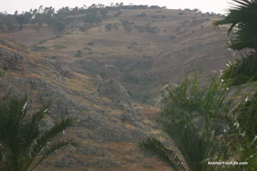 Rocky Hillside 