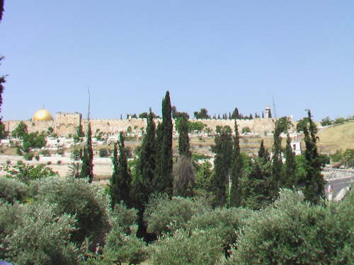 View from Garden of Gethsemane