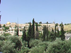 Garden of Gethsemane