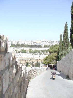 Path down to the Mt of Olives